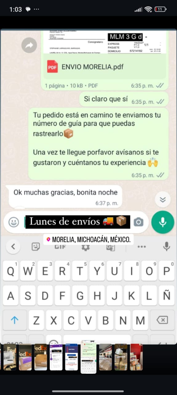 Reseña Cliente Oshi 4 - Foto Osito