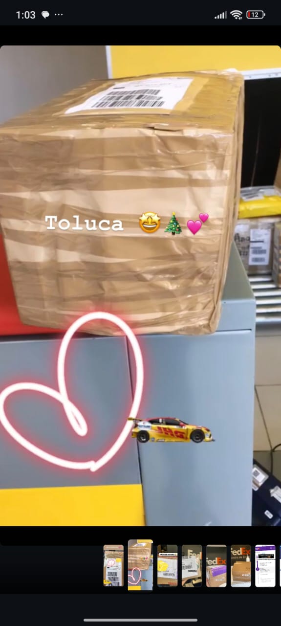 Reseña Cliente Oshi 6 - Foto Peluches en Bolsa